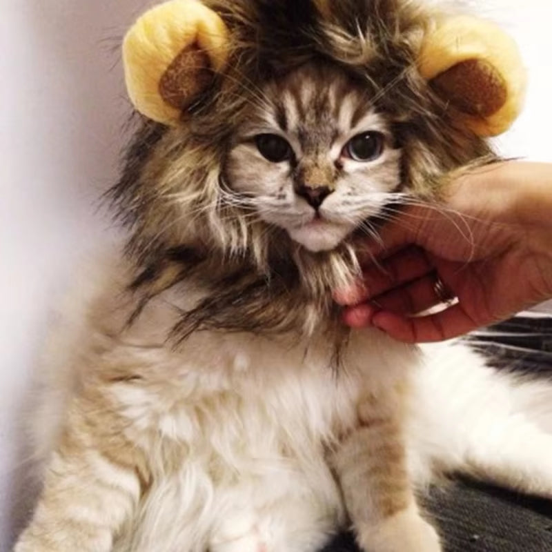 Cat Lion Head Pet Costume Wig Hat - Cute and Funny Decorative Headwear for Halloween
