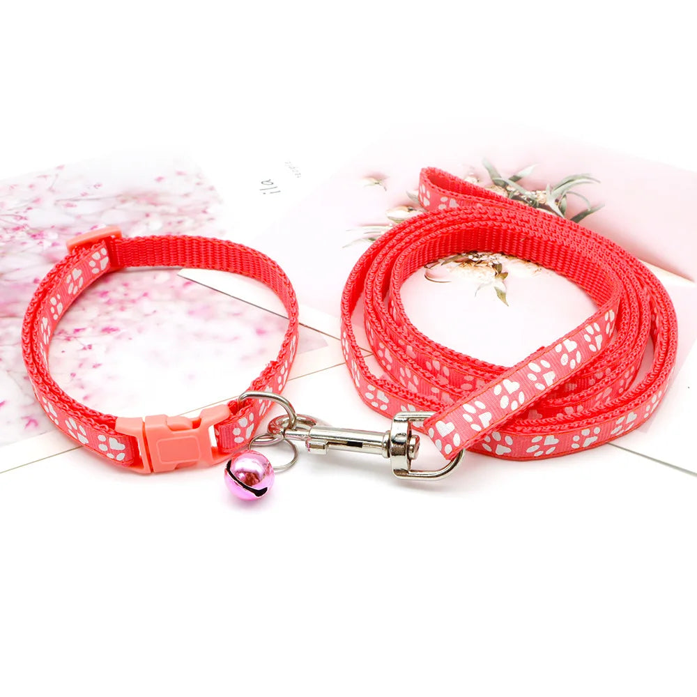 Cute Dog Leash & Collar Set