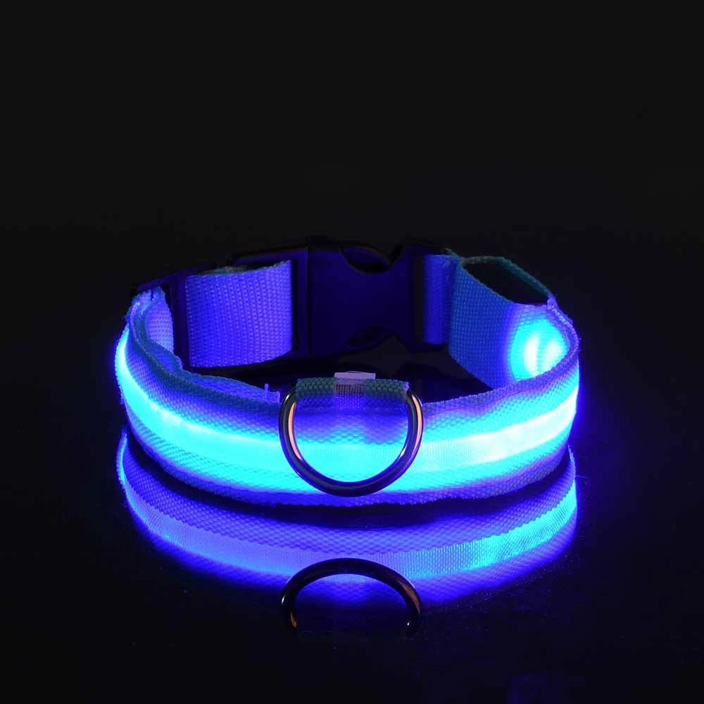 LED Glow-in-the-Dark Dog Lead