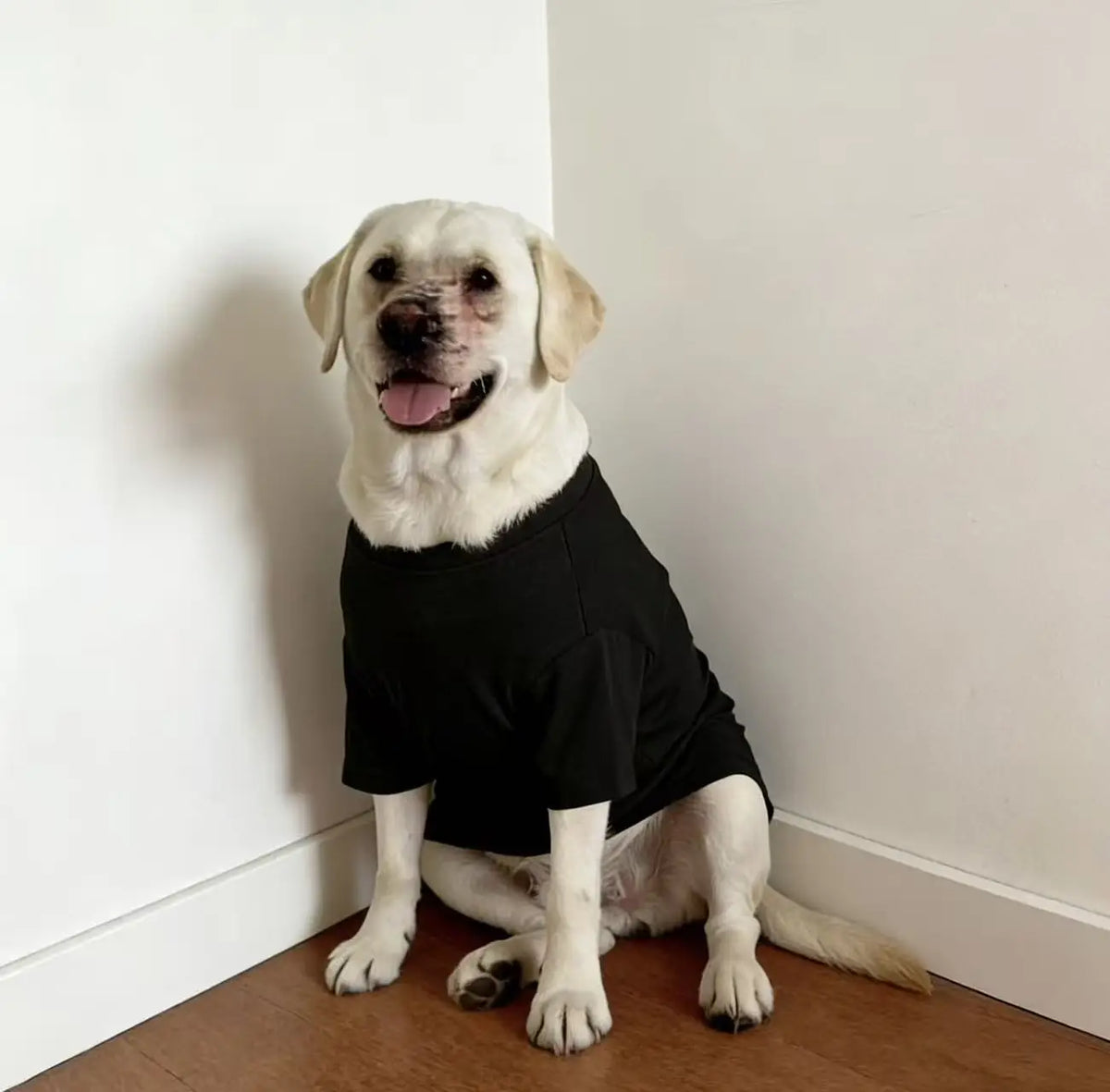 Breathable Summer Dog Vest