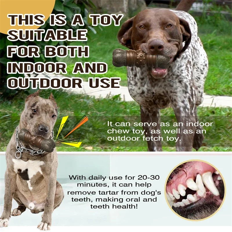 Tough Squeaky Chew Toy for Large Dogs