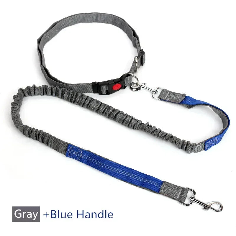 Hands-Free Retractable Dog Lead