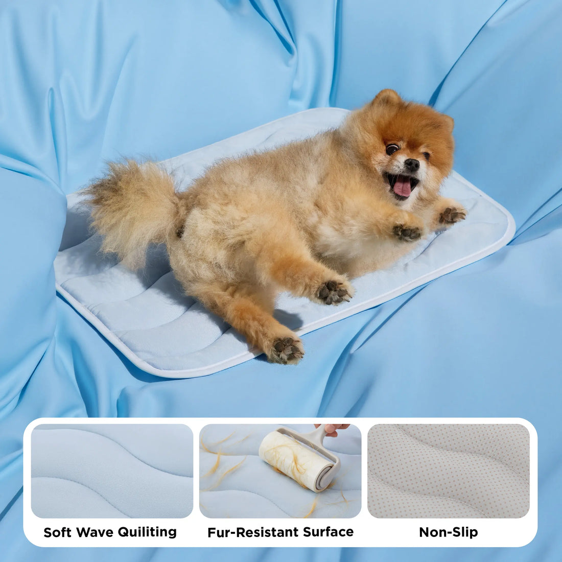 Keeping Your Pet Cool, Comfortable and Healthy in Every Season