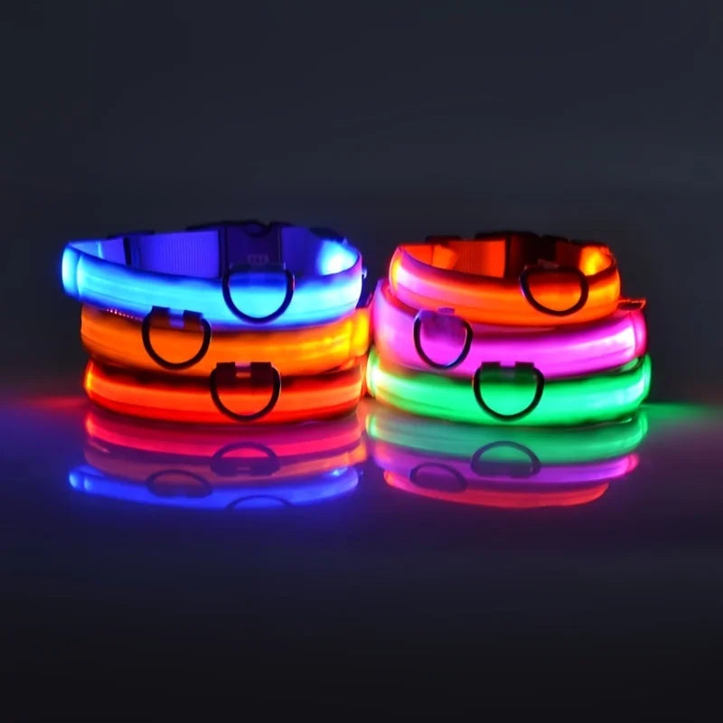 Nylon LED Illuminated Dog Leash and Luminous Fluorescent Collar for Enhanced Night Safety