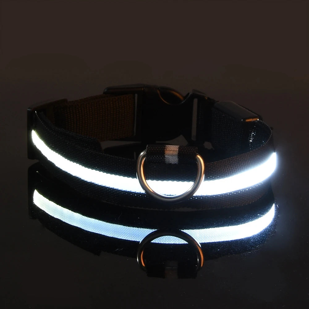 Nylon LED Illuminated Dog Leash and Luminous Fluorescent Collar for Enhanced Night Safety