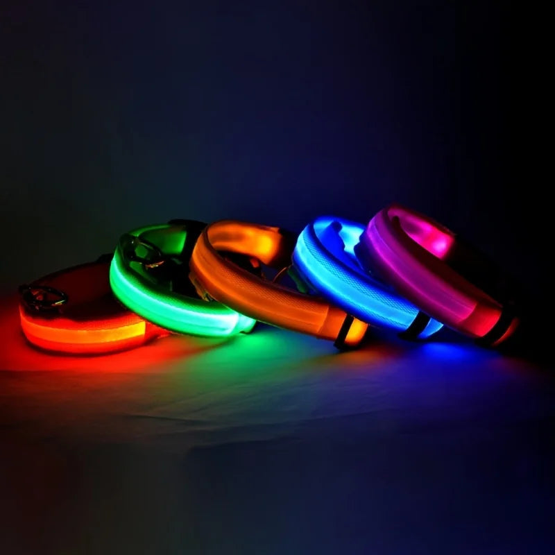 Nylon LED Illuminated Dog Leash and Luminous Fluorescent Collar for Enhanced Night Safety