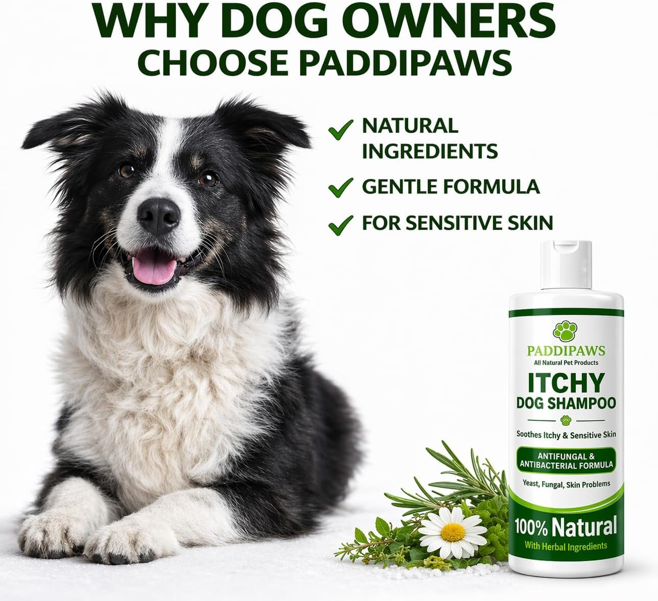 Itchy Dog Shampoo – Antifungal & Antibacterial Dog Shampoo for Sensitive Skin, Helps Relieve Itching, Yeast & Skin Irritation, Natural Dog Shampoo 250Ml