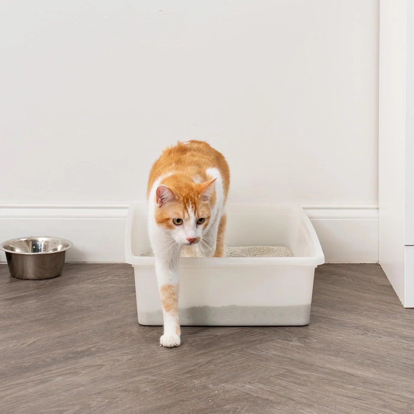 Large Pearl FinishOpen Top Cat Litter Box