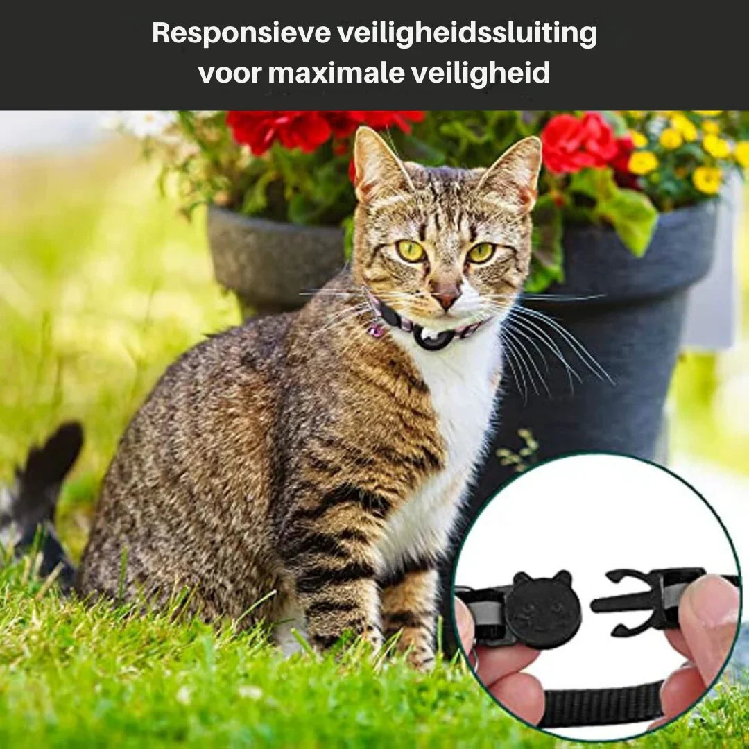 CAT GPS Tracking Collar with Quick-Release Fastener and Reflective Design for Improved Nighttime Visibility