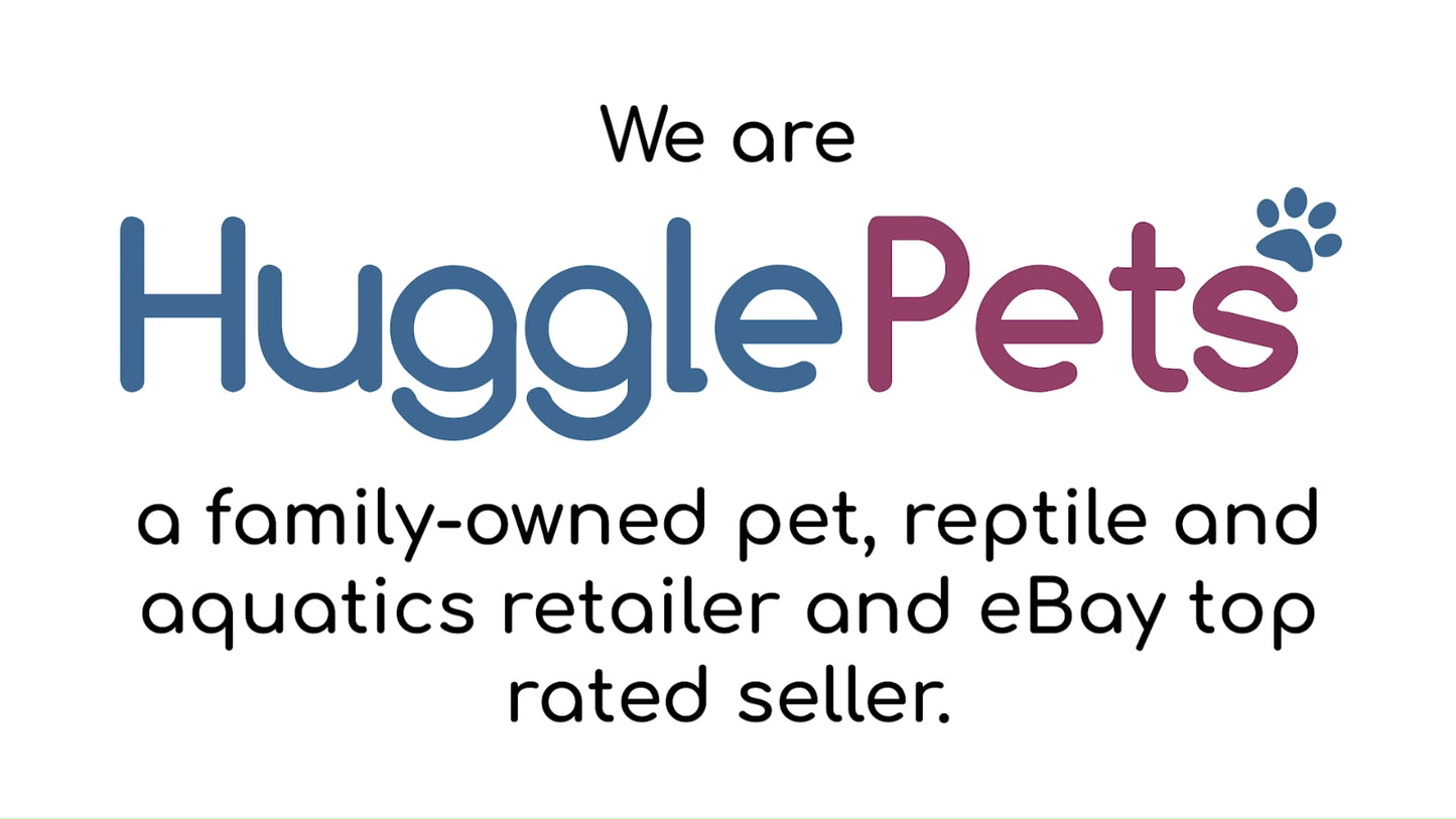 Metal Dog Crate for Puppy Training - Available in Small, Medium, Large, XL, and XXL Sizes