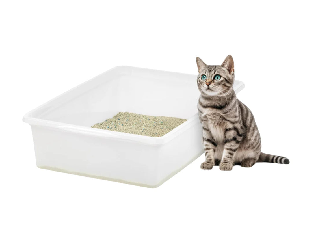Large Pearl FinishOpen Top Cat Litter Box