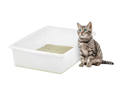 Large Pearl FinishOpen Top Cat Litter Box