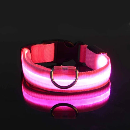 Nylon LED Illuminated Dog Leash and Luminous Fluorescent Collar for Enhanced Night Safety