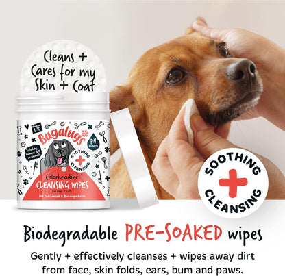 Dog Wipes for Pawly Skin - 100 Biodegradable Dog Grooming Pet Wipes. Use as Dog Ear Wipes, Dog Eye Wipes, Dog Face Wipes, Paw & Bum Wipes for Puppy, Dogs & Cat Grooming
