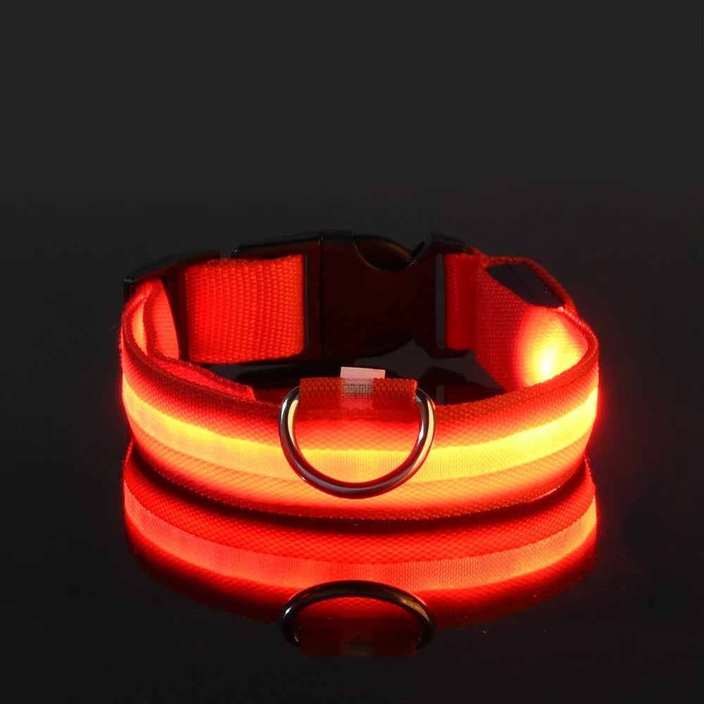 Nylon LED Illuminated Dog Leash and Luminous Fluorescent Collar for Enhanced Night Safety