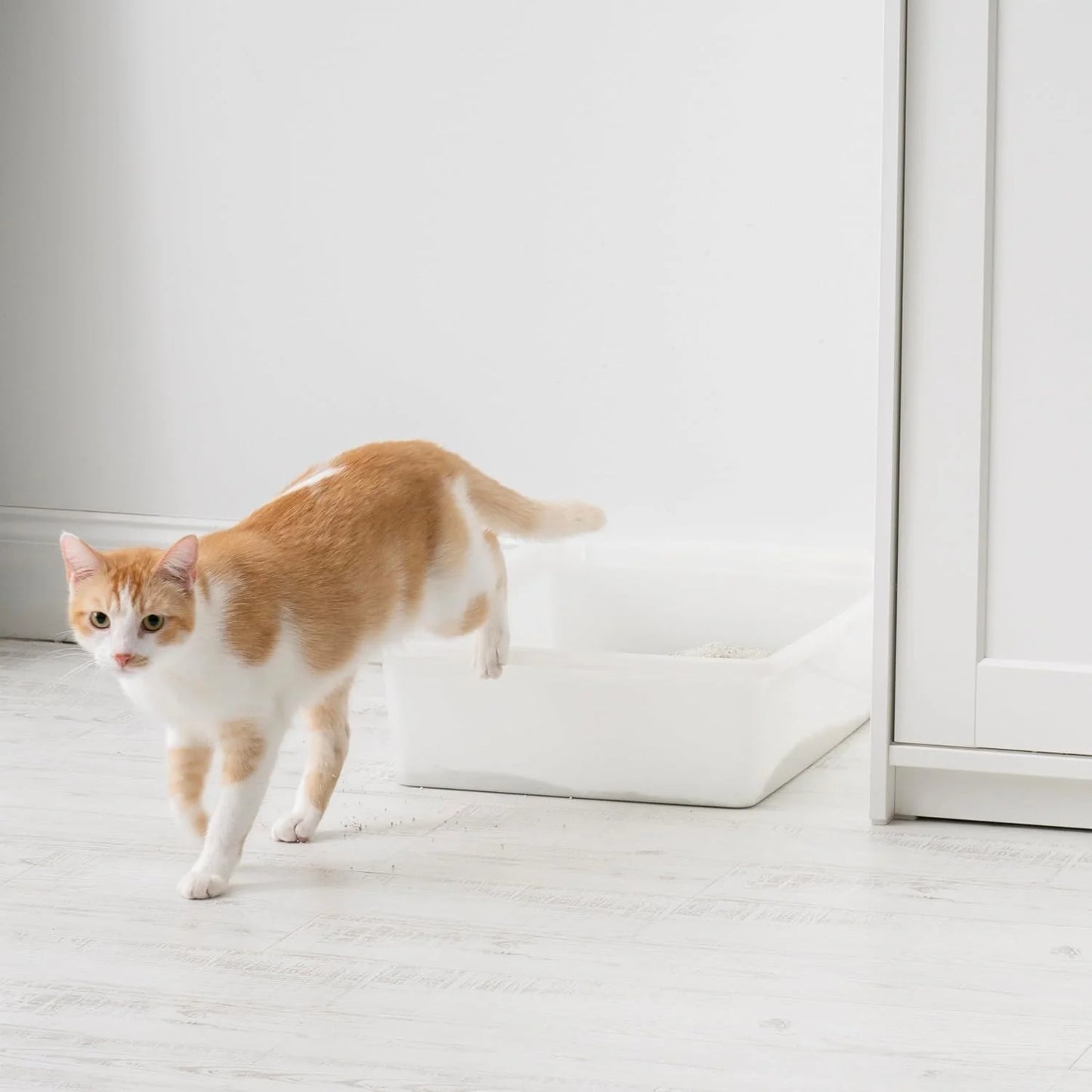 Large Pearl FinishOpen Top Cat Litter Box