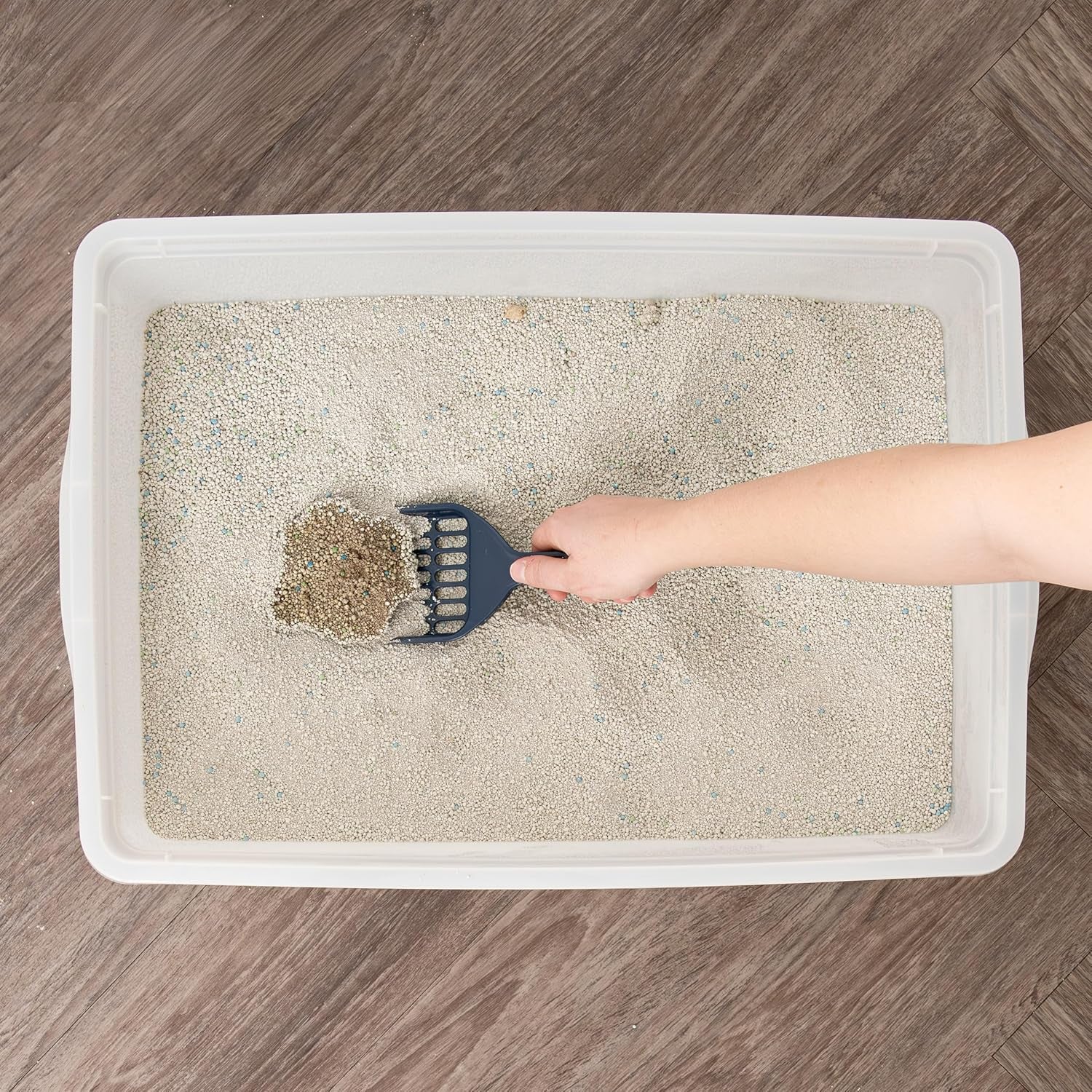 Large Pearl FinishOpen Top Cat Litter Box