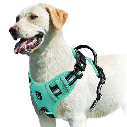 Adjustable Soft Padded No-Pull Dog Harness with Convenient Control Handle