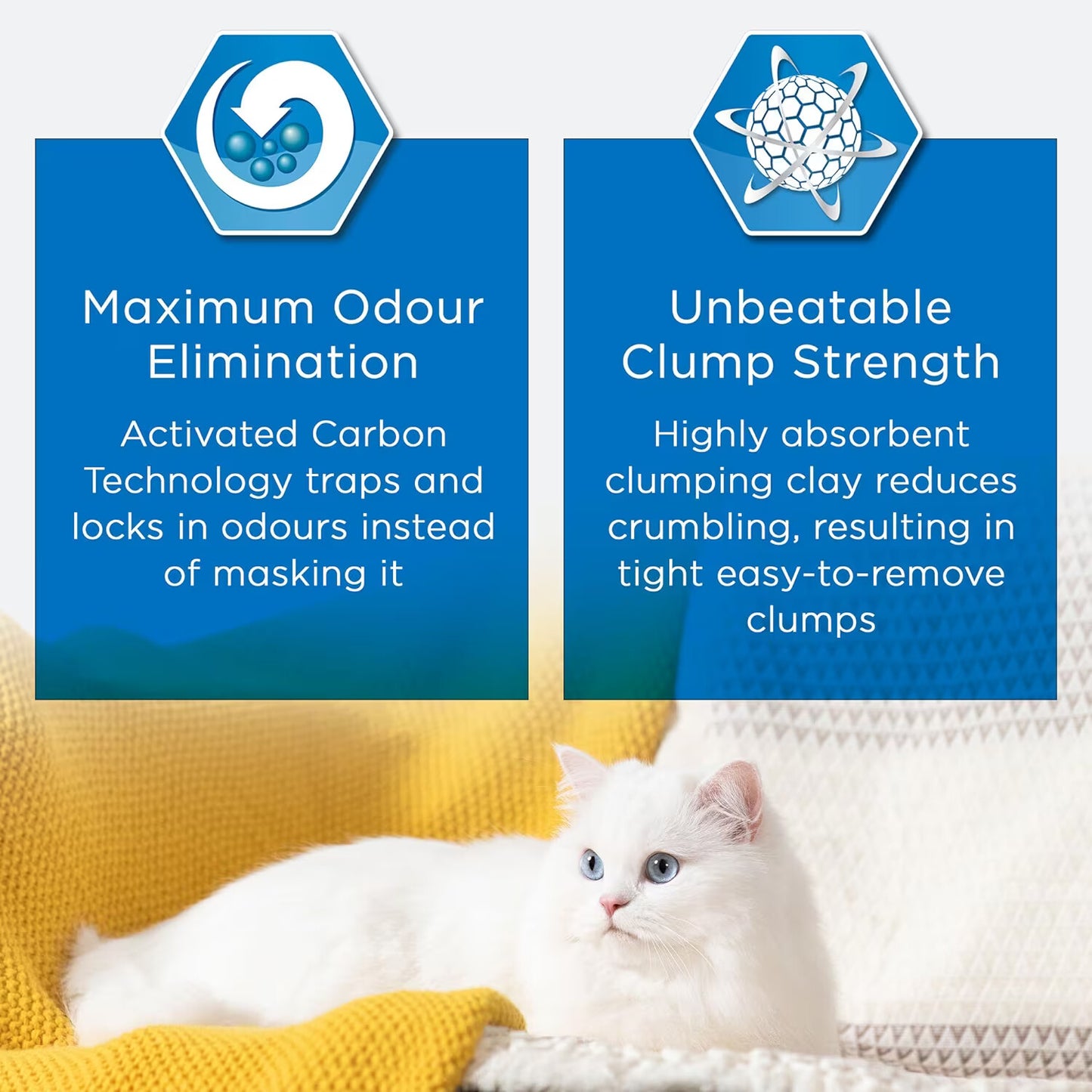 Ever Clean Extra Strength Natural Clumping Multi-Cat Litter with Long-Lasting Scent
