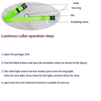Nylon LED Illuminated Dog Leash and Luminous Fluorescent Collar for Enhanced Night Safety