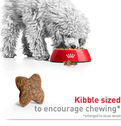 Royal Canin Size Health Nutrition Small Breed Adult Dry Dog Food, 4 lb
