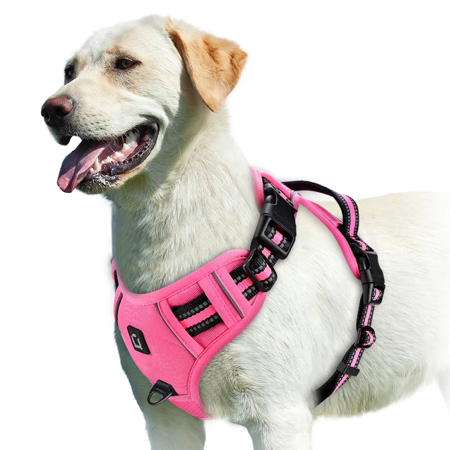 Adjustable Soft Padded No-Pull Dog Harness with Convenient Control Handle