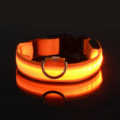 Nylon LED Illuminated Dog Leash and Luminous Fluorescent Collar for Enhanced Night Safety