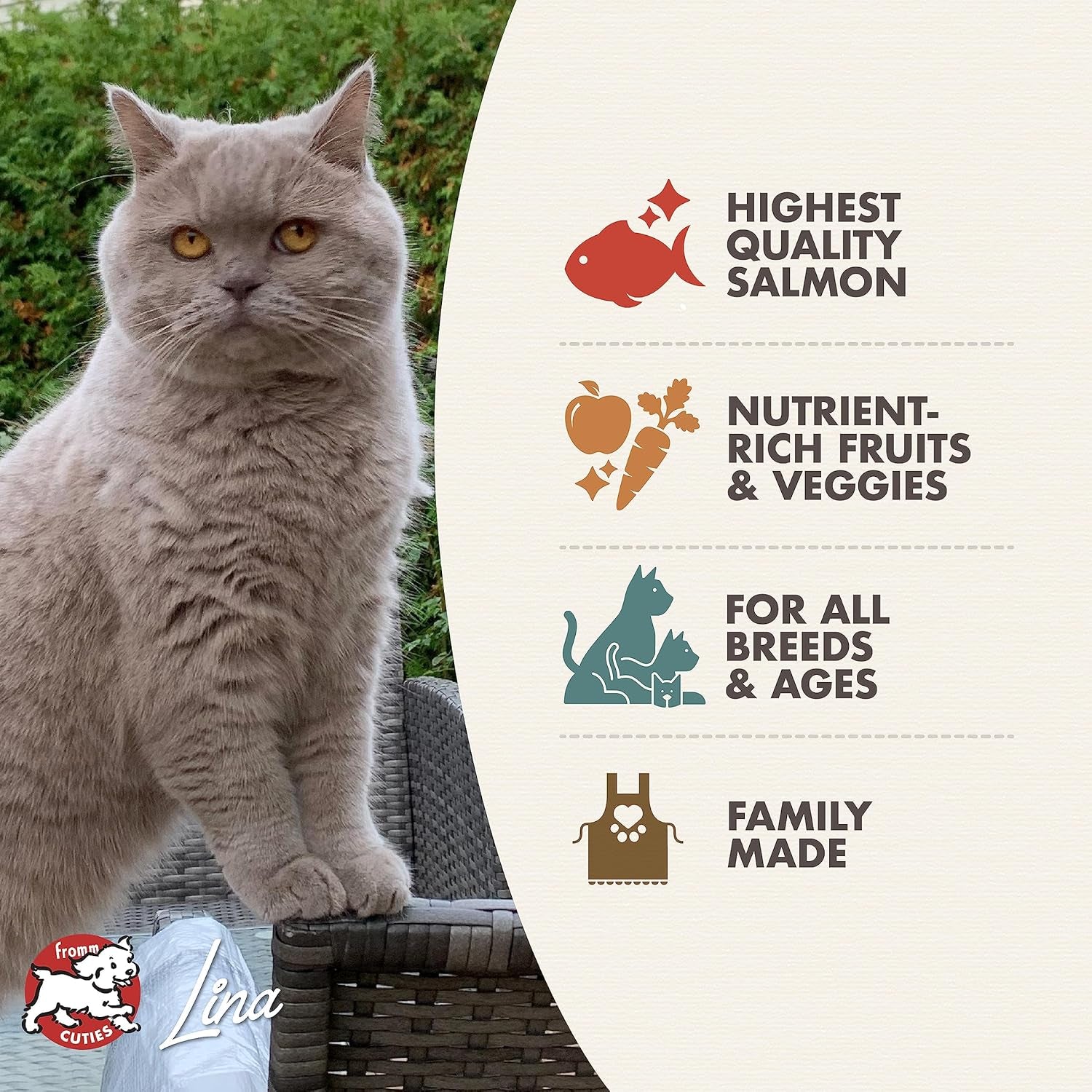 Nutritionals Premium Salmon Recipe Dry Cat Food - 4 lb