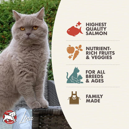 Nutritionals Premium Salmon Recipe Dry Cat Food - 4 lb