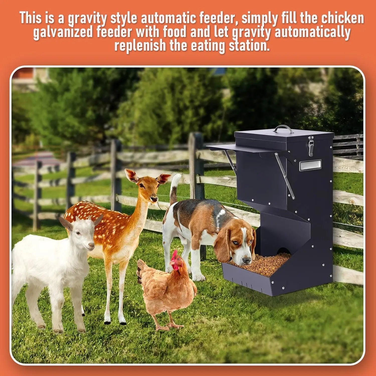 Outdoor Automatic Dog Feeder for Large Breeds - 25 lbs Galvanized Gravity Dog Food Dispenser and Hanging Feeder for Dogs, Chickens, and Farm Animals