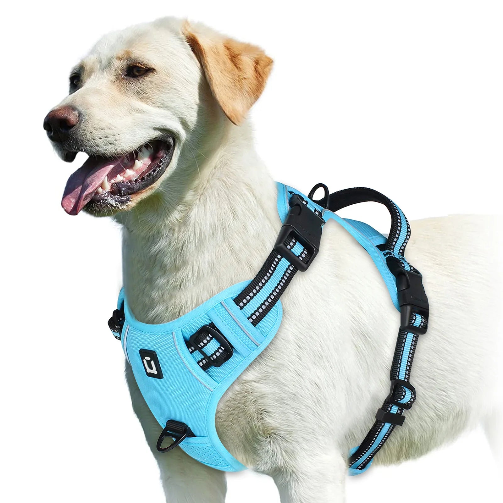Adjustable Soft Padded No-Pull Dog Harness with Convenient Control Handle
