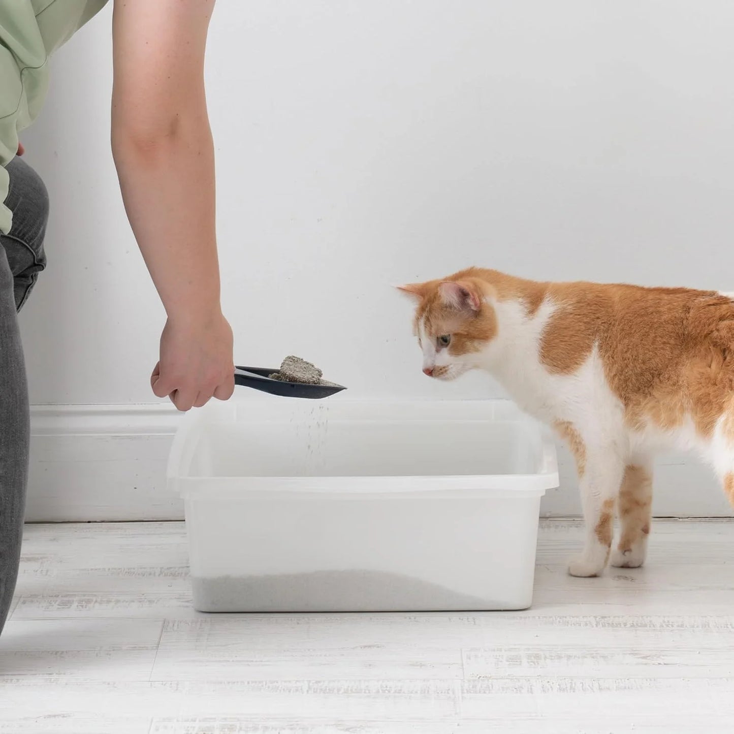 Large Pearl FinishOpen Top Cat Litter Box
