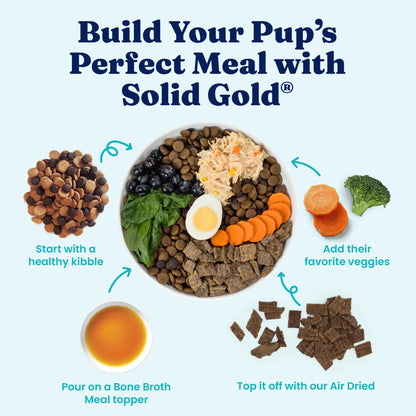 Solid Gold Nutrient-Rich Bone Broth Topper for Dogs with Turmeric - 6 Pouches - Made in the USA