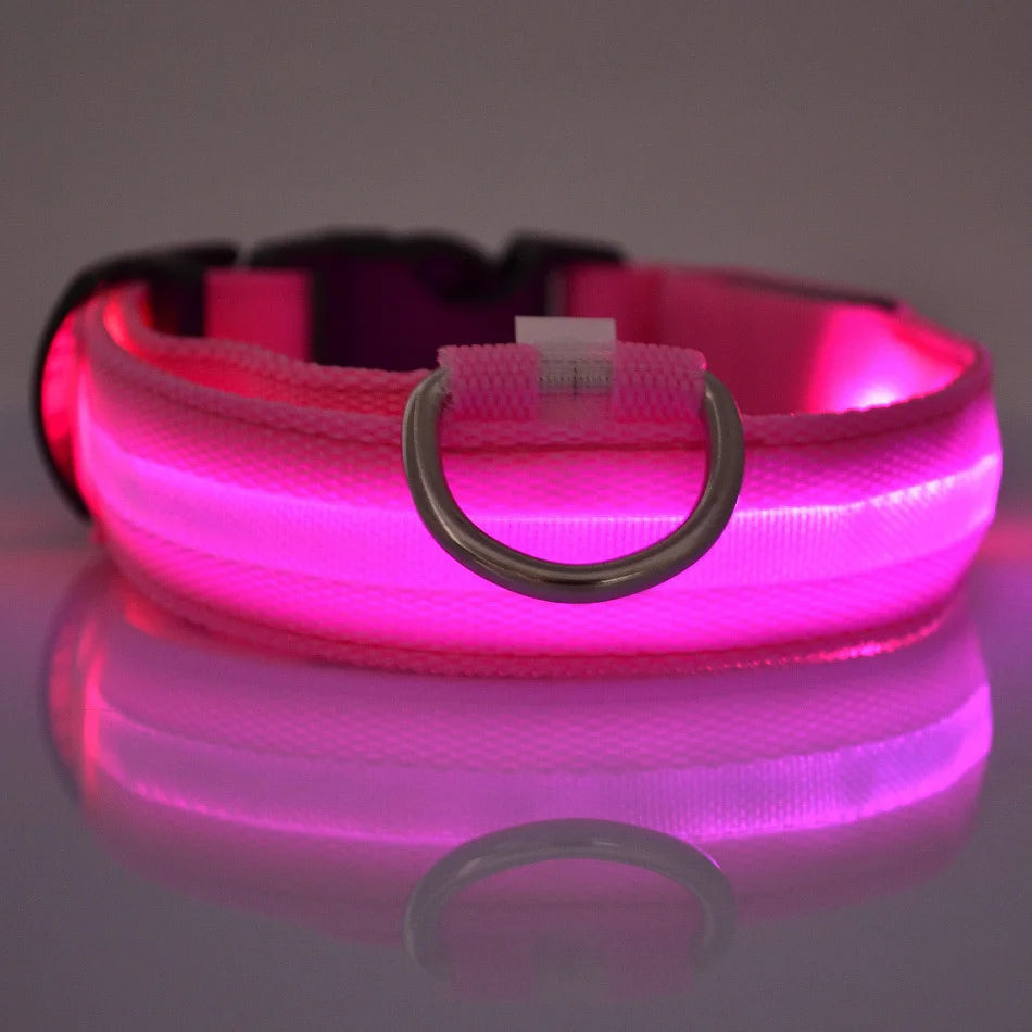 Nylon LED Illuminated Dog Leash and Luminous Fluorescent Collar for Enhanced Night Safety