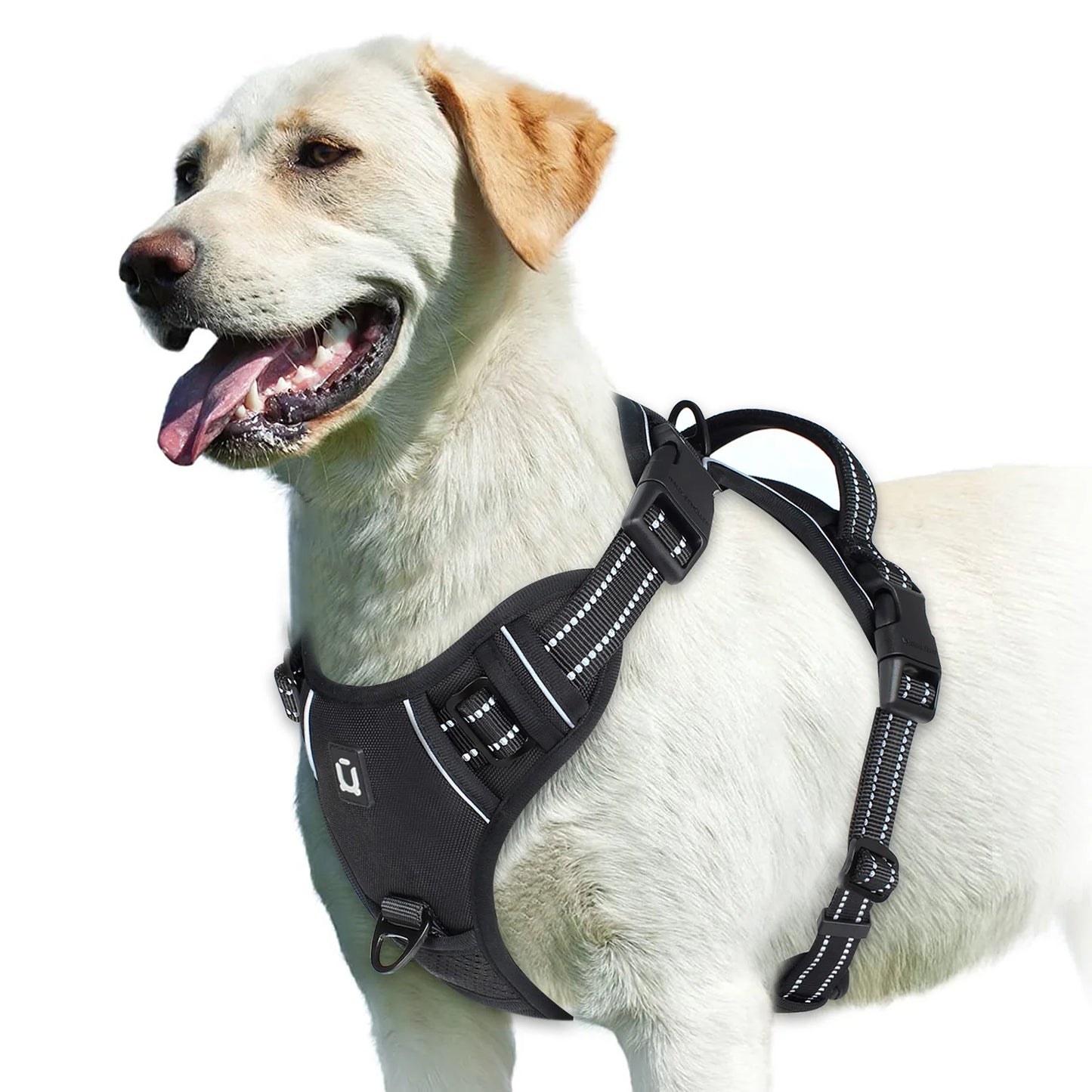 Adjustable Soft Padded No-Pull Dog Harness with Convenient Control Handle
