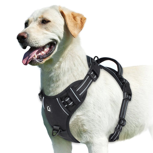 Adjustable Soft Padded No-Pull Dog Harness with Convenient Control Handle