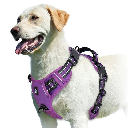 Adjustable Soft Padded No-Pull Dog Harness with Convenient Control Handle
