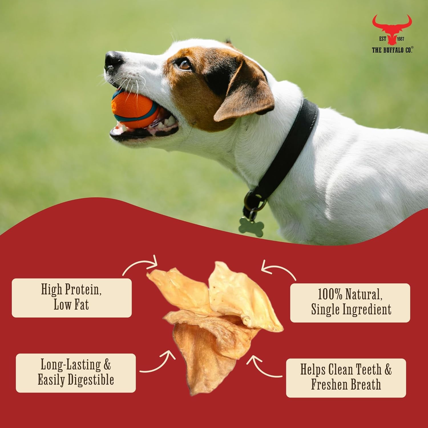 Buffalo Ears for Dogs 20 Pack | Natural Grass-Fed Dog Treats | Ultra Lean 2.5% Fat Dog Chews | Grain Free & Gluten Free | Long Lasting Dental Chew