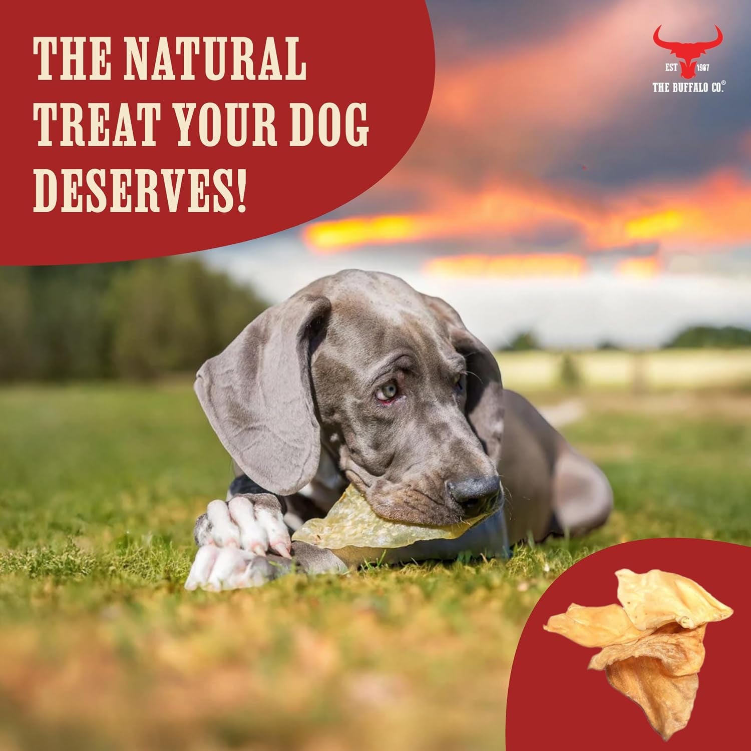 Buffalo Ears for Dogs 20 Pack | Natural Grass-Fed Dog Treats | Ultra Lean 2.5% Fat Dog Chews | Grain Free & Gluten Free | Long Lasting Dental Chew