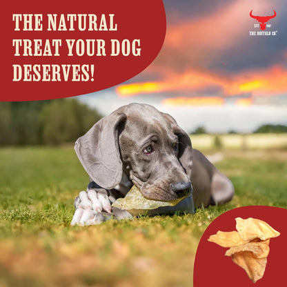 Buffalo Ears for Dogs 20 Pack | Natural Grass-Fed Dog Treats | Ultra Lean 2.5% Fat Dog Chews | Grain Free & Gluten Free | Long Lasting Dental Chew