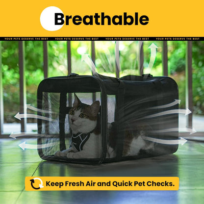 Soft-Sided Cat Carrier Bag - Airline Approved Pet Transport for Small to Medium Cats and Puppies up to 15 lbs, Featuring 4-Sided Mesh and Collapsible Design