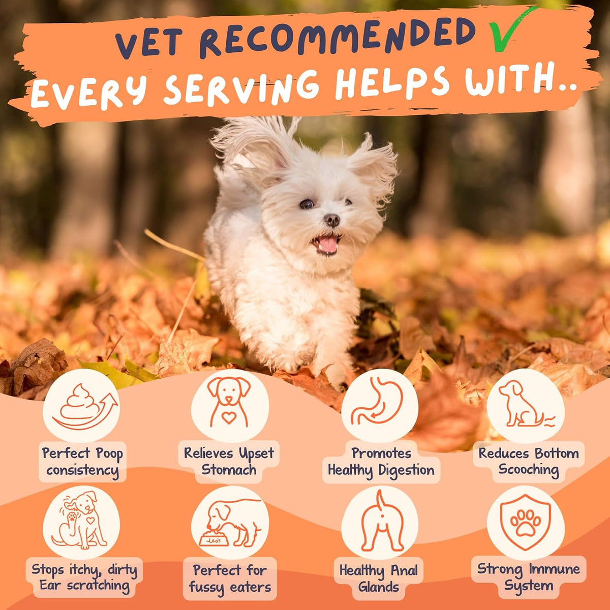 Pumpkin Powder for Dogs | 250G | 100% Pure Pumpkin Powder Dog Food Topper, Naturally Rich Fibre for Dogs | Dog Gut Health Probiotics | Probiotics for Dogs