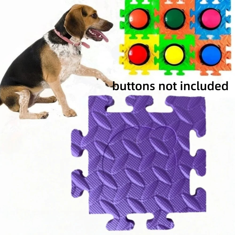 Interactive Training Button Pad