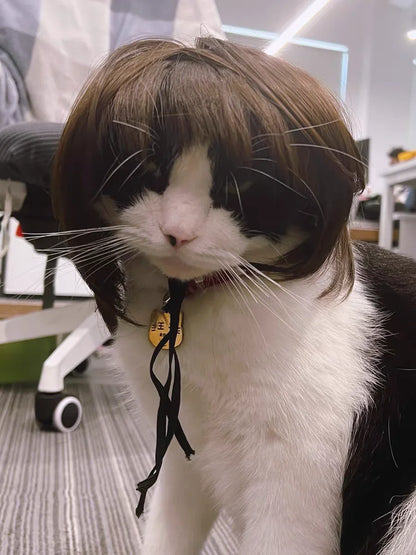 Costume Wig for Cats and Dogs