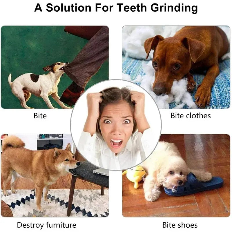 Bite-Resistant Treat Dispensing Ball for Dogs - We Wuv Pets