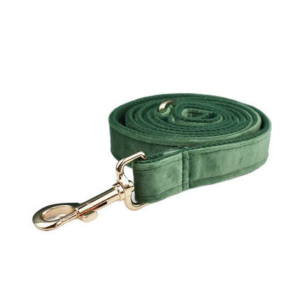 Velvet Dog Collar & Lead Set