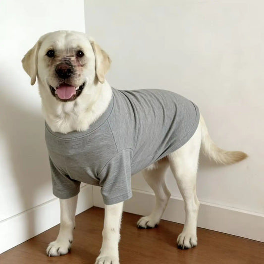 Breathable Summer Dog Vest - We Wuv Pets
