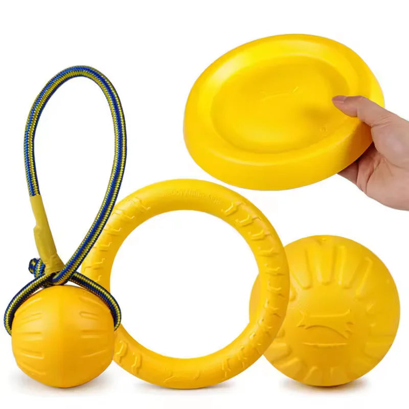 Bite-Resistant Frisbee Dog Toy