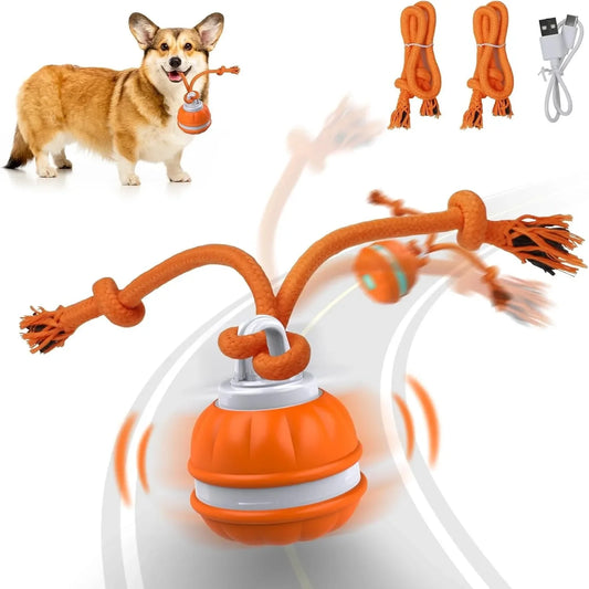 USB Rechargeable Rolling Ball Dog Toy - We Wuv Pets