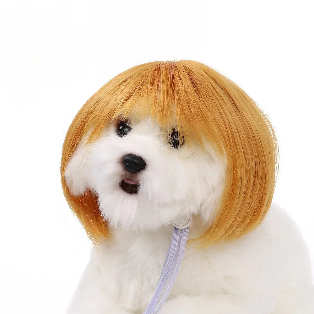Costume Wig for Cats & Dogs - We Wuv Pets